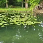 D'hotes Le Moulin D'ane منزل للإقامة *