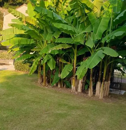 D'hotes Le Moulin D'ane منزل للإقامة *