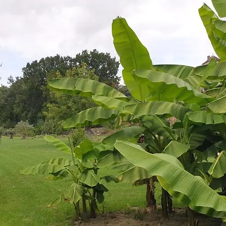 D'hotes Le Moulin D'ane *