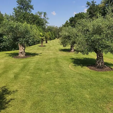 D'hotes Le Moulin D'ane نيورْ