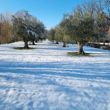 D'hotes Le Moulin D'ane Niort