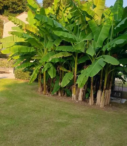 D'hotes Le Moulin D'ane Homestay *