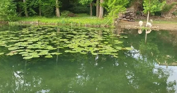 D'hotes Le Moulin D'ane Privatunterkunft *