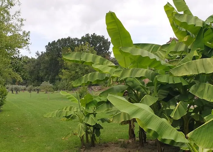 D'hotes Le Moulin D'ane *