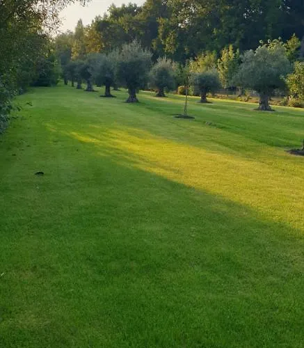 D'hotes Le Moulin D'ane *